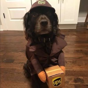 Meet your Posher, Brian